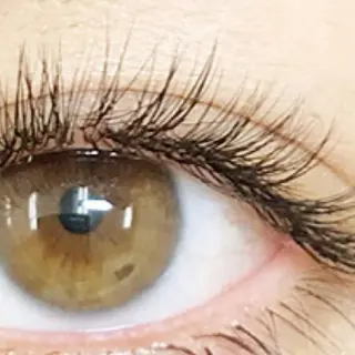 マツエク・マツパ eyelash- r🌹の眉毛・アイブロウイメージ