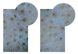 エステティックサロンVive所属・エステティックサロン Viveのエステ・リラクイメージ