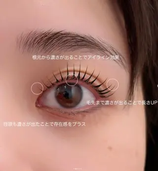 マツエク・マツパ Froh所属・岡田 悠のマツエク・マツパデザイン