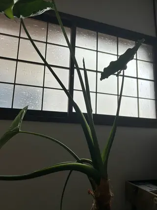 Born to be yoga&relaxのエステ・リラクイメージ