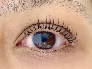 マツエク・マツパ eyelash&eyebrow Lupinus【ルピナス】所属・Lupinus 南草津店のマツエク・マツパデザイン