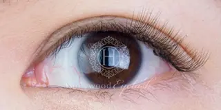 マツエク・マツパ m K.のマツエク・マツパデザイン