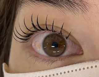 マツエク・マツパ マリーテレジア 🌻RUKAのマツエク・マツパデザイン