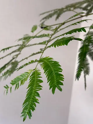 漢方温活マッサージ ［THE28.］のエステ・リラクイメージ