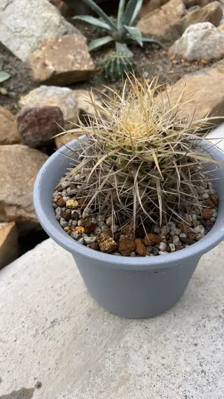 RITZ 髪質改善/ 清水のヘアスタイル