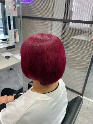 ショート 手塚 由佳のヘアスタイル