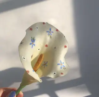 マツエク・マツパ meru所属・meru kamisakodaの眉毛・アイブロウイメージ