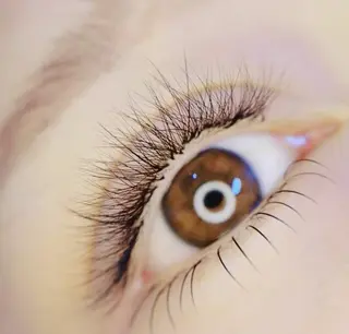 マツエク・マツパ Cute beauty2のマツエク・マツパデザイン