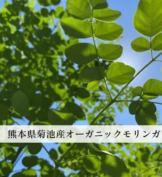 NaNairo サロンFukuoka所属・NaNairoサロン Fukuokaのエステ・リラクイメージ