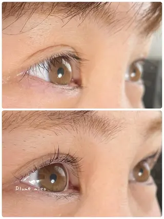 マツエク・マツパ Plume micoのマツエク・マツパデザイン