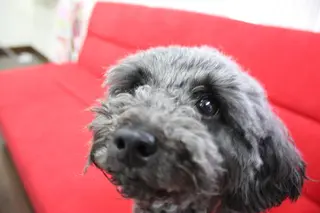 IN∞hair/ インヘアー/下伊福店のヘアスタイル