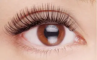 マツエク・マツパ RoseLash【青山一丁目徒歩1分】表参道所属・パリジェンヌ/まつパ RoseLashのマツエク・マツパデザイン