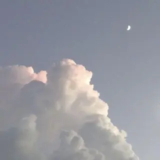 ∴Sanae. ∴ トータルビューティーのマツエク・マツパデザイン