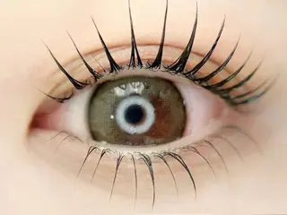 マツエク・マツパ RAIMU🪽 SSINSTUDIOのマツエク・マツパデザイン