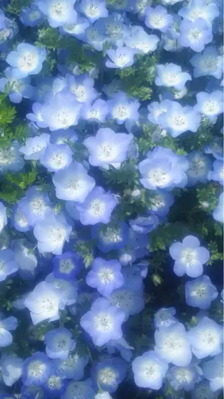 オト/レイヤー/ Wカラー/メンズのヘアスタイル