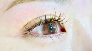 マツエク・マツパ Nail&Eyelash KIARA所属・閉店 しましたのマツエク・マツパデザイン