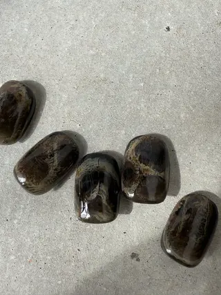 ネイル Manon/ rikaのネイルデザイン