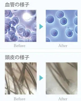 ショート 【副店長】 小林幸江の眉毛・アイブロウイメージ