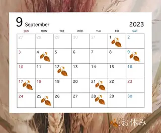 マツエク・マツパ UNPLAN maiのマツエク・マツパデザイン