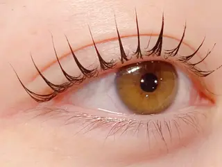 マツエク・マツパ ungu 直江のマツエク・マツパデザイン