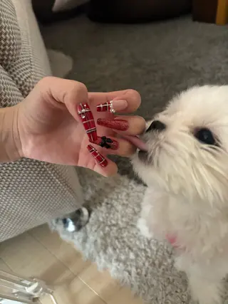 ネイル 33nail✴️栄 スミレ❇️Gel-xのネイルデザイン