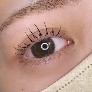 マツエク・マツパ Luele 立川のマツエク・マツパデザイン