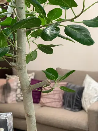 潤い艶肌・身体ケア /貸切りサロンソワンのエステ・リラクイメージ