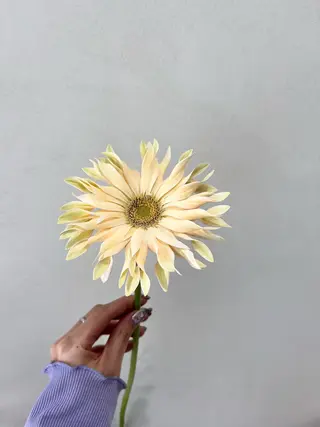 カラー 暖色カラー／ ヘアセット🌛櫻井舞のヘアスタイル