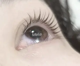 マツエク・マツパ Melia Chieのマツエク・マツパデザイン