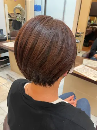 ショート 韓国ヘア/レイヤー 🇰🇷/艶髪/長橋のヘアスタイル