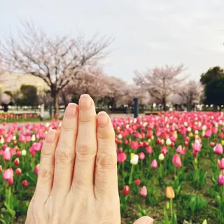 ネイル ハンドケア＆ネイルケア桃の木所属・ケアリスト🍀 マリユキのネイルデザイン