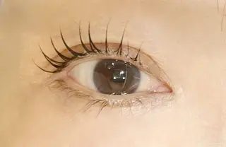 マツエク・マツパ tres村井所属・RINO/松本市/ マツエク/まつパのマツエク・マツパデザイン