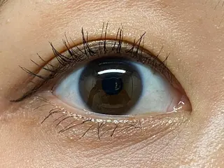 マツエク・マツパ ehl:fa Beautyのマツエク・マツパデザイン