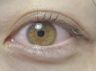 マツエク・マツパ ecru.所属・TAKAHASHI NANAMIのマツエク・マツパデザイン