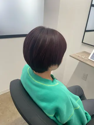 ショート カラー 菅野 萌愛のヘアスタイル