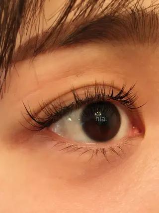 マツエク・マツパ hia   ヒア マツエク/パリエクのマツエク・マツパデザイン