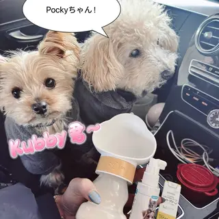 ネイル U eのマツエク・マツパデザイン