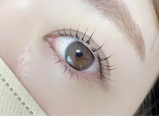 マツエク・マツパ 【那覇/束感まつ毛】 ｷｬﾒﾙのマツエク・マツパデザイン