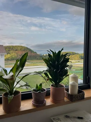 Tree Houseのエステ・リラクイメージ