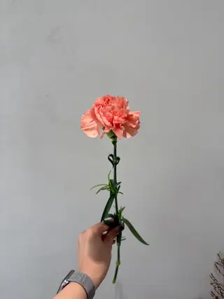 キッズ 🪻花屋併設🪻秀島 有紀のヘアスタイル