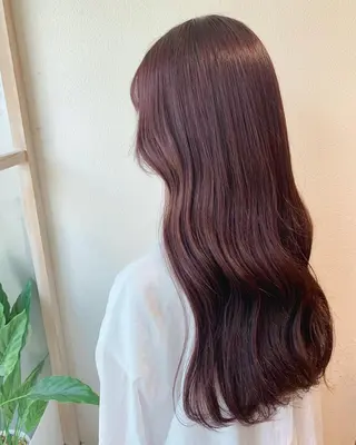 ロング レイヤー専門家 ダブルカラー修のヘアスタイル