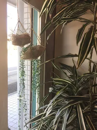 メナードフェイシャルサロン リゾンフェルジョイン所属・岩田 友美のエステ・リラクイメージ