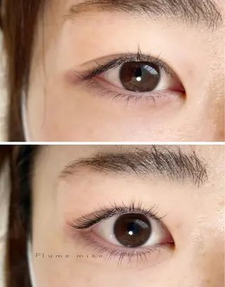 マツエク・マツパ Plume micoのマツエク・マツパデザイン