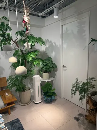 浦仲 千奈津のエステ・リラクイメージ