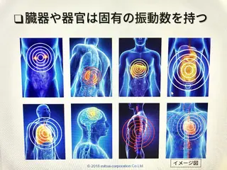 ショート×カラー 🦊堀米早紀【荻窪】のヘアスタイル