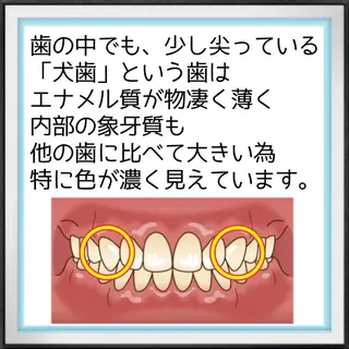 ライトビューティー 池袋店のその他イメージ