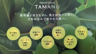 ALOHA アロハのその他イメージ