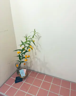 マツエク・マツパ SO-eye所属・𝗦𝗢 -スオ- HAZUKIの眉毛・アイブロウイメージ