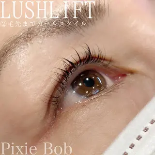 マツエク・マツパ Pixie Bob 🐈‍⬛　位田のマツエク・マツパデザイン