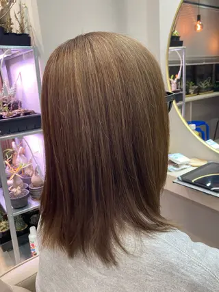 ミディアム 池田 太一のヘアスタイル